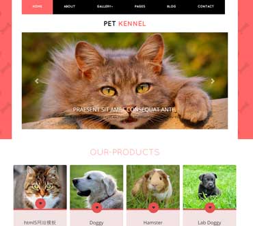 紅色背景寵物世界html5網頁模板