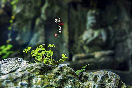 牧羊人網(wǎng)站建設(shè)匠人精神，幫助客戶在各行各行業(yè)建設(shè)網(wǎng)站